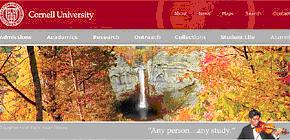 Less_Is_More_For_University_Websites